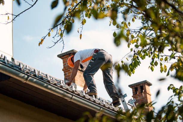 Best Commercial Roofing Services  in Quincy, IL