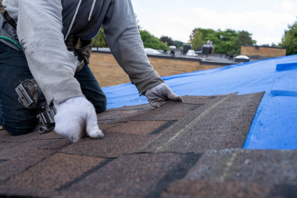 Best Residential Roof Replacement  in Quincy, IL