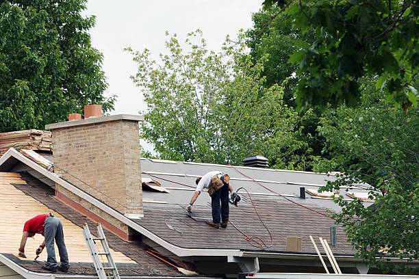 Best Storm Damage Roof Repair  in Quincy, IL